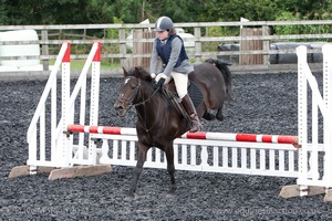 Class 5 - Fences not above 2'6